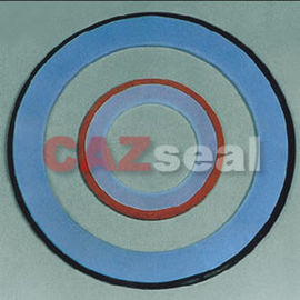 PTFE پاکت واشر