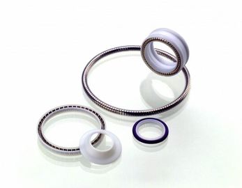 PTFE مهر، بهار انرژی تفلون مهر، تفلون روتاری مهر، PTFE استاتیک مهر